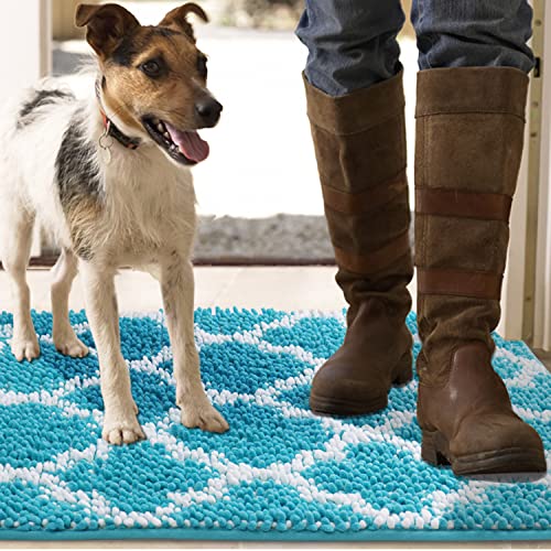 Super Absorbent Indoor Chenille Doormat, Muddy Dog Washable Rug, Quick Dry Soft Thick Microfiber Durable Absorbs Water and Moisture Go Away Door Mat Doormat for Entry