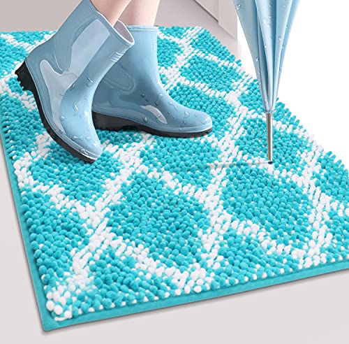 Super Absorbent Indoor Chenille Doormat, Muddy Dog Washable Rug, Quick –  Abalter